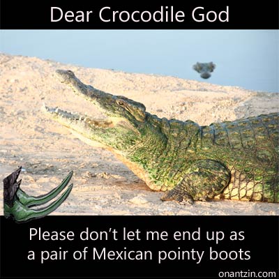 Meme - Dear Crocodile God. Please dont let me end up as a pair of Mexican pointy boots.