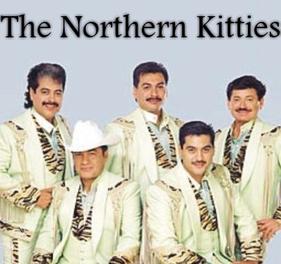 http://www.onantzin.com/images/news_stories/northern_kitties.jpg