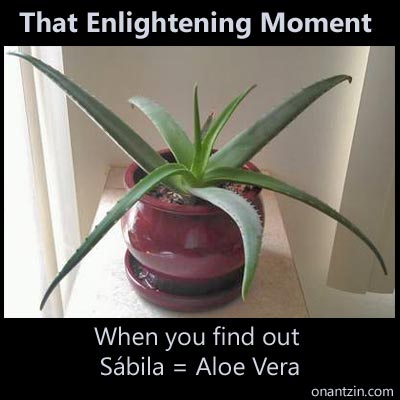 Meme - That enlightening moment when you find out Sbila = Aloe Vera